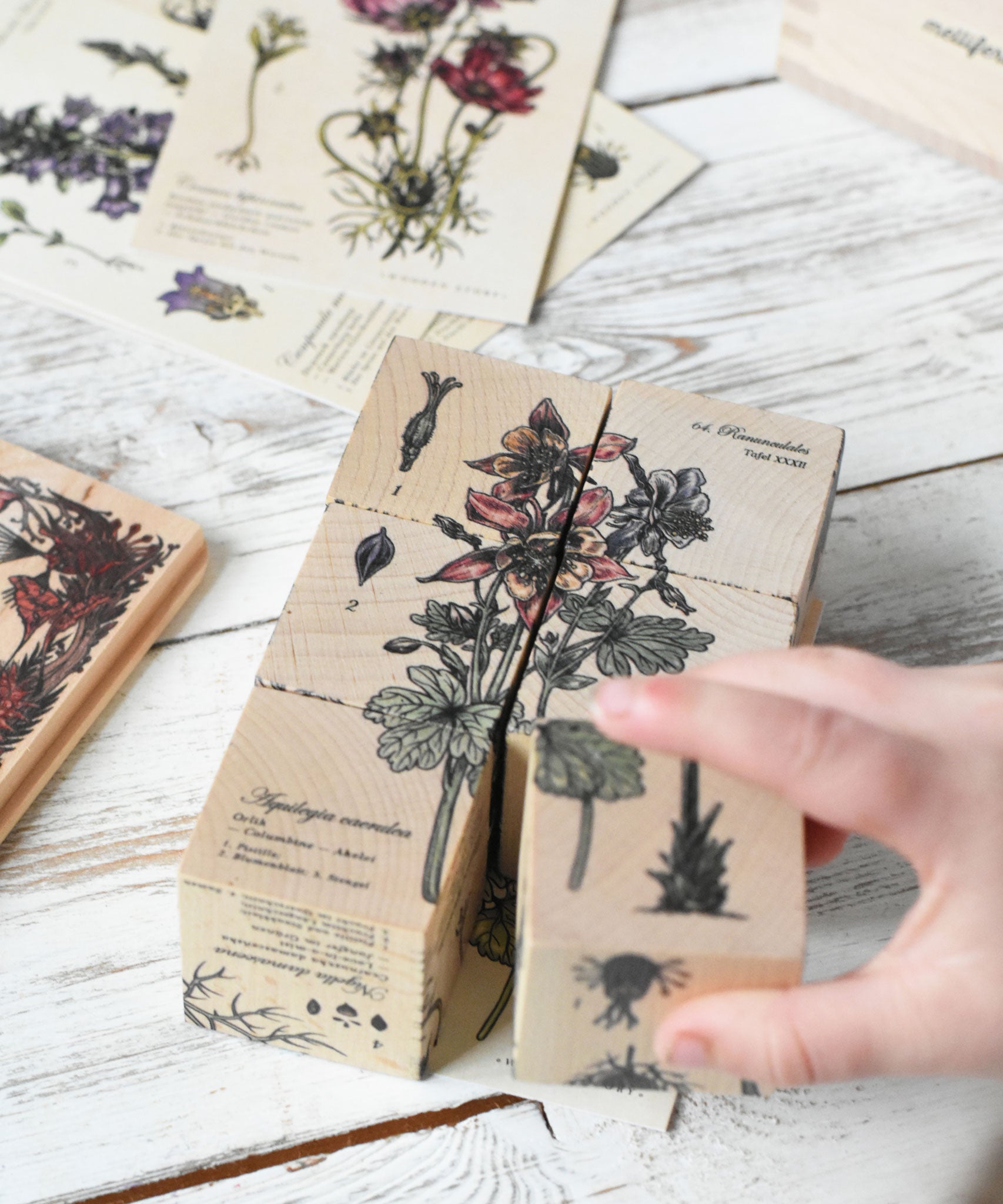 A close up of the blocks from the Wooden Story Melliferous Plants Puzzle Blocks set. A child's c hand can be seen placing the last block down to complete the plant picture.