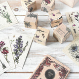Wooden Story Melliferous Plants 
 Puzzle Blocks taken out of the wooden storage box and placed on a white washed wooden surface. 