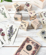 Wooden Story Melliferous Plants 
 Puzzle Blocks taken out of the wooden storage box and placed on a white washed wooden surface. 