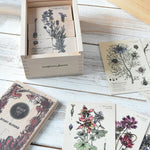 Wooden Story Melliferous Plants Puzzle Blocks.