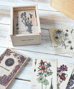 Wooden Story Melliferous Plants Puzzle Blocks.