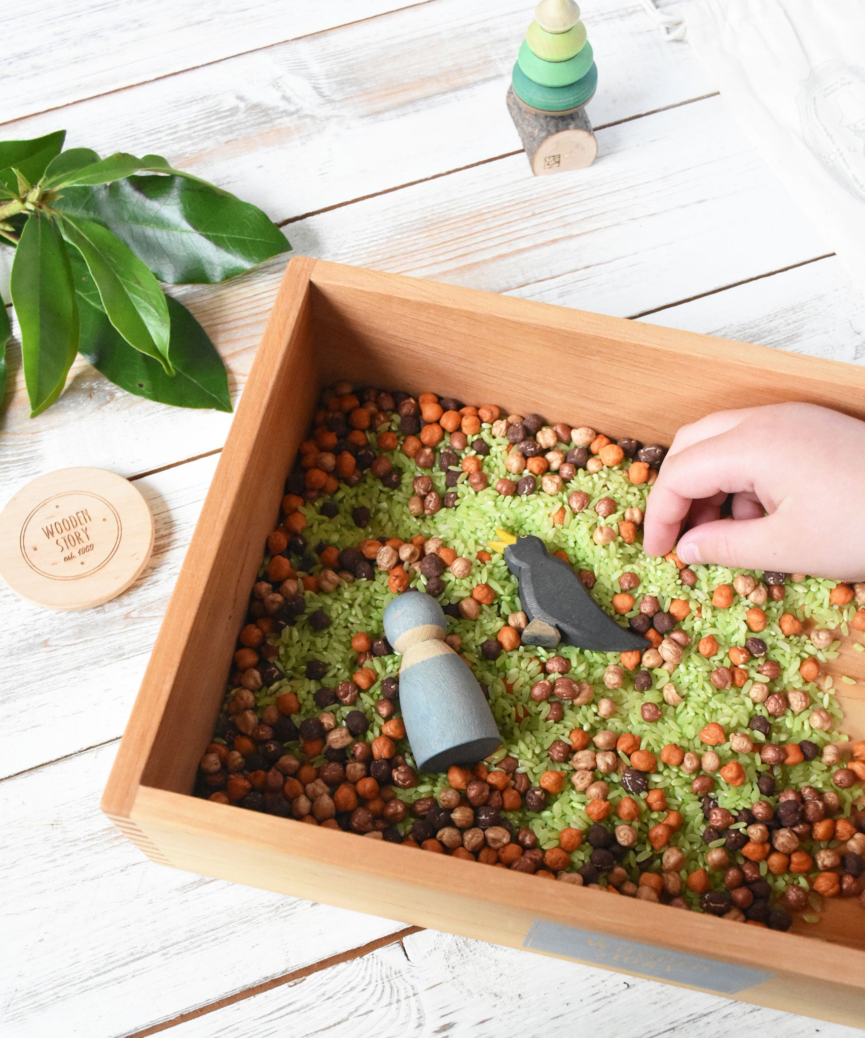 Wooden Story Play Tray filled with coloured dried rice and chick peas. There is a Grimm's friends and an Ostheimer blackbird.