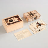 The pieces from the Wooden Story Species of Bees Story Blocks set laid out on a white surface next to the wooden box that they come in. 