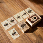 Wooden Story Species of Bees Story Blocks set pictured on a wooden surface. The blocks and cards are laid out next to the wooden box that they come in. 