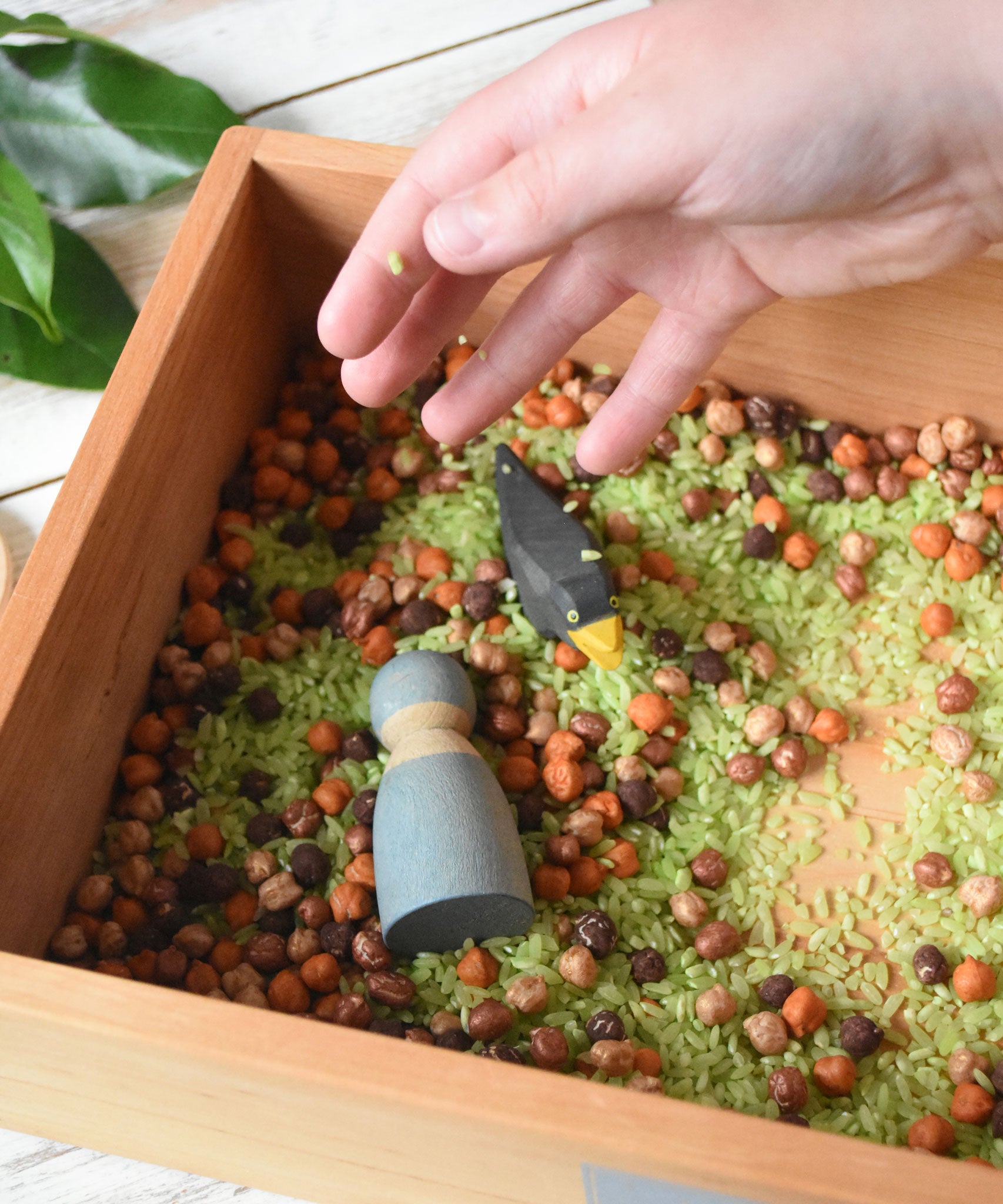 A Wooden Story Play Tray filled with coloured dried rice and chick peas. A child's hand can be seen placing more rice in the tray n top of a blue coloured Grimm's friends and a Ostheimer black bird.
