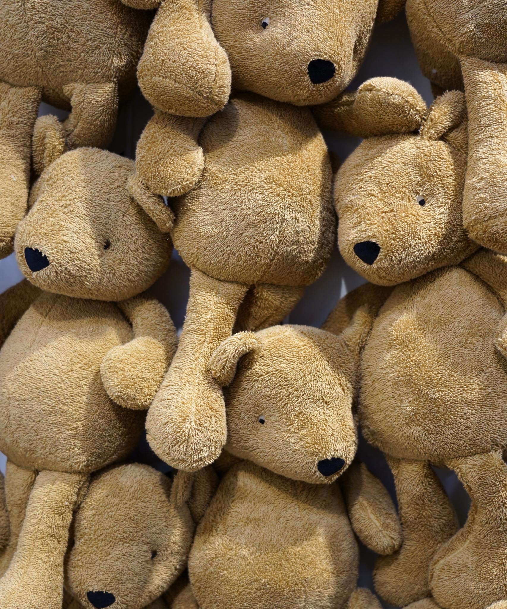 A group of the caramel brown Wooly Organic teddy bears available at Babipur. These bears are soft, cuddly and have cute facial features.