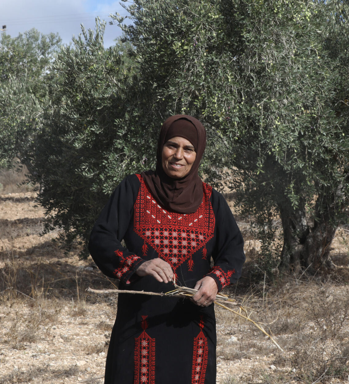 Doha Asous is a family farmer from the ancient Palestinian village of Burin, near Nablus. She is pictures wearing patterned clothing next to an olive tree.